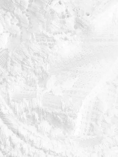 Wacoal Women's Embrace Lace Underwire Bra - White | Thumbnail 5 Wacoal Women's Embrace Lace Underwire Bra - White | Thumbnail 5