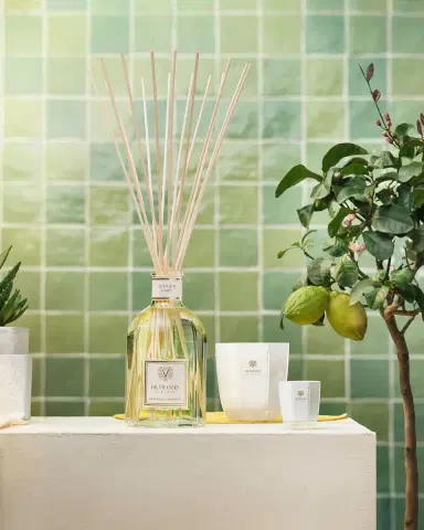Dr. Vranjes Firenze Ginger Lime Glass Bottle Home Fragrance | Thumbnail 2 Dr. Vranjes Firenze Ginger Lime Glass Bottle Home Fragrance | Thumbnail 2