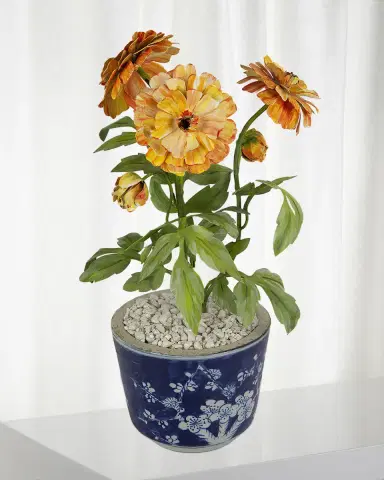 Tommy Mitchell Marigold October Birth Flower in Ceramic Pot | Thumbnail 1 Tommy Mitchell Marigold October Birth Flower in Ceramic Pot | Thumbnail 1