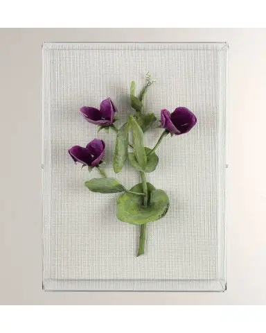 Tommy Mitchell Sweet Pea April Birth Flower Wall Art | Thumbnail 2 Tommy Mitchell Sweet Pea April Birth Flower Wall Art | Thumbnail 2