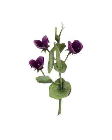 Tommy Mitchell Sweet Pea April Birth Flower Wall Art | Thumbnail 1 Tommy Mitchell Sweet Pea April Birth Flower Wall Art | Thumbnail 1
