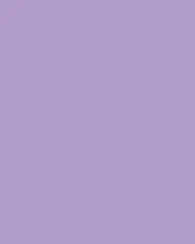 Tommy Mitchell Violet February Birth Flower in White Terracotta Pot | Thumbnail 3 Tommy Mitchell Violet February Birth Flower in White Terracotta Pot | Thumbnail 3