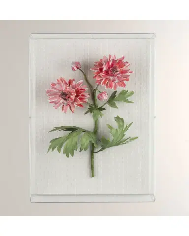 Tommy Mitchell Crysanthemum November Birth Flower Wall Art | Thumbnail 2 Tommy Mitchell Crysanthemum November Birth Flower Wall Art | Thumbnail 2