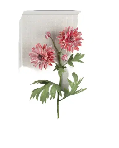 Tommy Mitchell Crysanthemum November Birth Flower Wall Art | Thumbnail 1 Tommy Mitchell Crysanthemum November Birth Flower Wall Art | Thumbnail 1