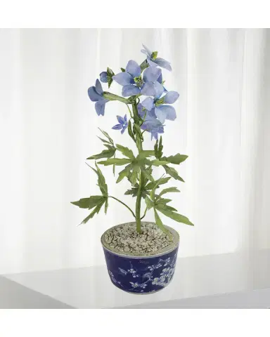 Tommy Mitchell Delphinium July Birth Flower in Ceramic Pot | Thumbnail 2 Tommy Mitchell Delphinium July Birth Flower in Ceramic Pot | Thumbnail 2