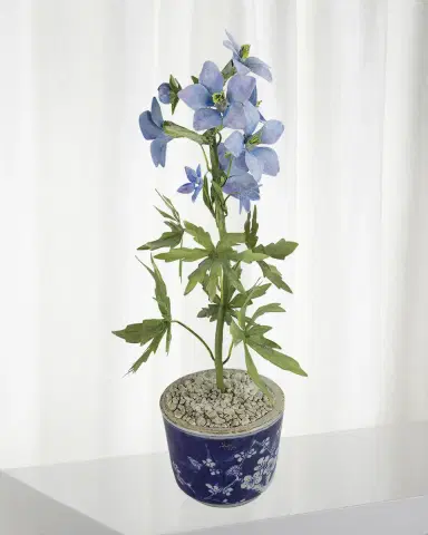 Tommy Mitchell Delphinium July Birth Flower in Ceramic Pot | Thumbnail 1 Tommy Mitchell Delphinium July Birth Flower in Ceramic Pot | Thumbnail 1