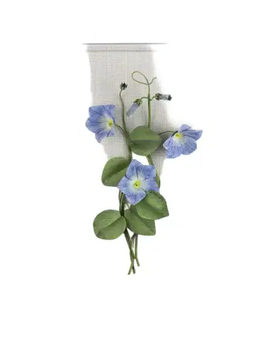 Tommy Mitchell Morning Glory September Birth Flower Wall Art | Thumbnail 1 Tommy Mitchell Morning Glory September Birth Flower Wall Art | Thumbnail 1