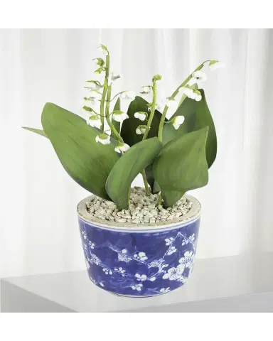 Tommy Mitchell Lily of the Valley May Birth Flower in Ceramic Pot | Thumbnail 2 Tommy Mitchell Lily of the Valley May Birth Flower in Ceramic Pot | Thumbnail 2