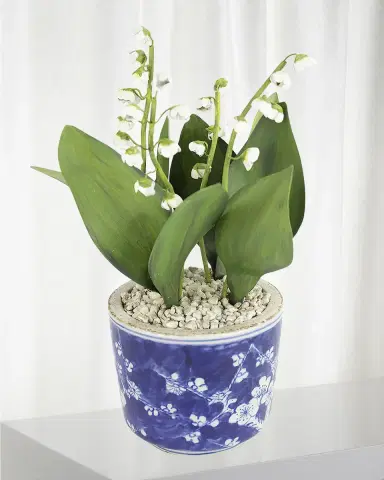 Tommy Mitchell Lily of the Valley May Birth Flower in Ceramic Pot | Thumbnail 1 Tommy Mitchell Lily of the Valley May Birth Flower in Ceramic Pot | Thumbnail 1