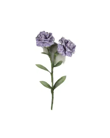 Tommy Mitchell Carnation January Birth Flower Wall Art | Thumbnail 1 Tommy Mitchell Carnation January Birth Flower Wall Art | Thumbnail 1