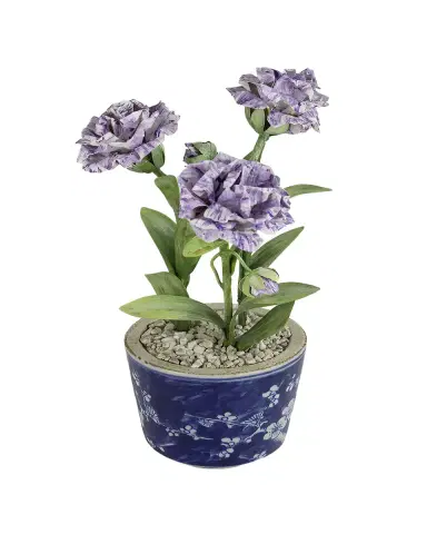 Tommy Mitchell Carnation January Birth Flower in Ceramic Pot | Thumbnail 2 Tommy Mitchell Carnation January Birth Flower in Ceramic Pot | Thumbnail 2