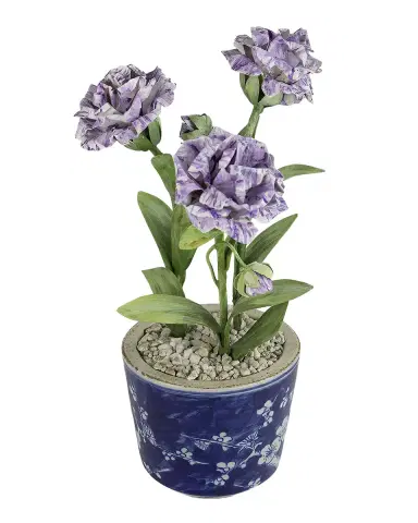 Tommy Mitchell Carnation January Birth Flower in Ceramic Pot | Thumbnail 1 Tommy Mitchell Carnation January Birth Flower in Ceramic Pot | Thumbnail 1
