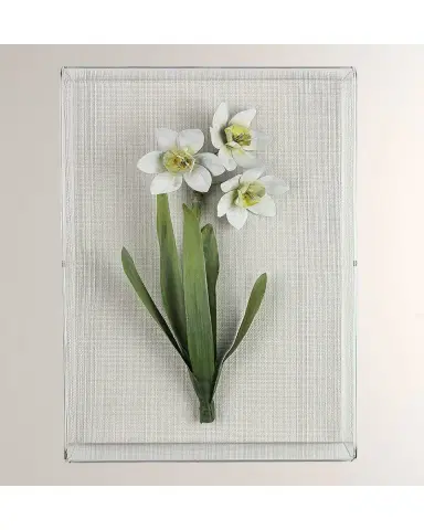 Tommy Mitchell Narcissus December Birth Flower Wall Art | Thumbnail 2 Tommy Mitchell Narcissus December Birth Flower Wall Art | Thumbnail 2