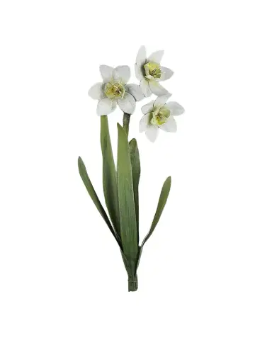 Tommy Mitchell Narcissus December Birth Flower Wall Art | Thumbnail 1 Tommy Mitchell Narcissus December Birth Flower Wall Art | Thumbnail 1