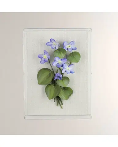 Tommy Mitchell Violet February Birth Flower Wall Art | Thumbnail 2 Tommy Mitchell Violet February Birth Flower Wall Art | Thumbnail 2