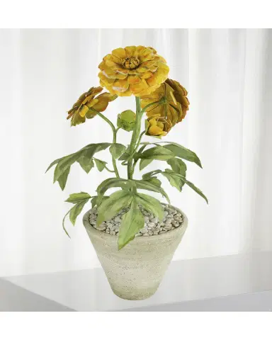 Tommy Mitchell Marigold October Birth Flower in White Terracotta Pot | Thumbnail 2 Tommy Mitchell Marigold October Birth Flower in White Terracotta Pot | Thumbnail 2