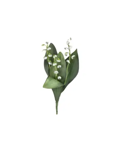 Tommy Mitchell Lily of the Valley May Birth Flower Wall Art | Thumbnail 1 Tommy Mitchell Lily of the Valley May Birth Flower Wall Art | Thumbnail 1