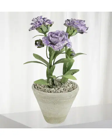 Tommy Mitchell Carnation January Birth Flower in White Terracotta Pot | Thumbnail 2 Tommy Mitchell Carnation January Birth Flower in White Terracotta Pot | Thumbnail 2