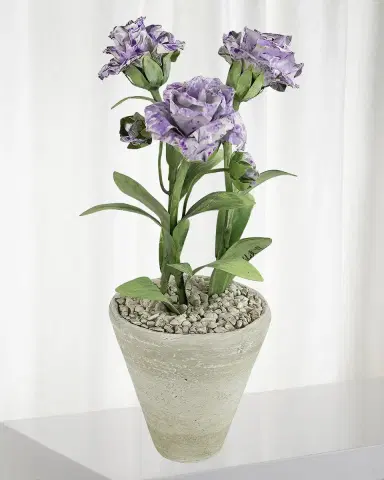 Tommy Mitchell Carnation January Birth Flower in White Terracotta Pot | Thumbnail 1 Tommy Mitchell Carnation January Birth Flower in White Terracotta Pot | Thumbnail 1