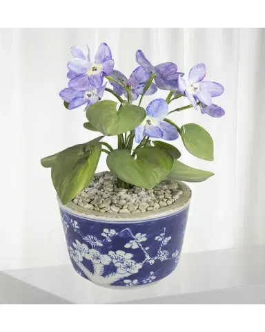 Tommy Mitchell Violet February Birth Flower in Ceramic Pot | Thumbnail 2 Tommy Mitchell Violet February Birth Flower in Ceramic Pot | Thumbnail 2
