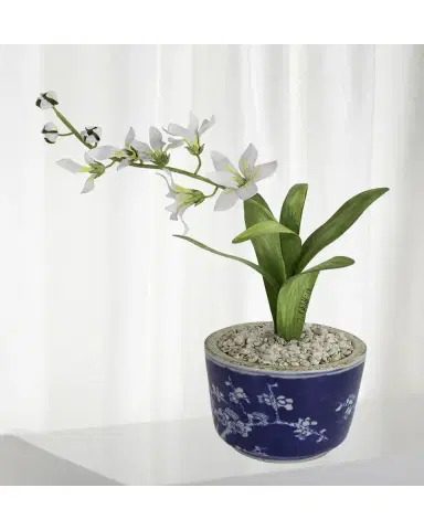 Tommy Mitchell Freesia March Birth Flower in Ceramic Pot | Thumbnail 2 Tommy Mitchell Freesia March Birth Flower in Ceramic Pot | Thumbnail 2