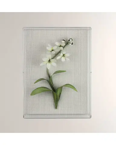 Tommy Mitchell Freesia March Birth Flower Wall Art | Thumbnail 2 Tommy Mitchell Freesia March Birth Flower Wall Art | Thumbnail 2