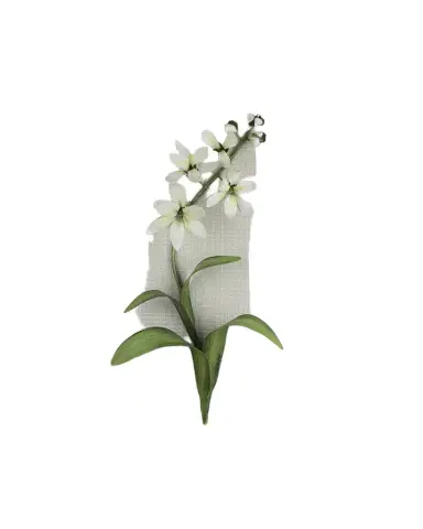 Tommy Mitchell Freesia March Birth Flower Wall Art | Thumbnail 1 Tommy Mitchell Freesia March Birth Flower Wall Art | Thumbnail 1
