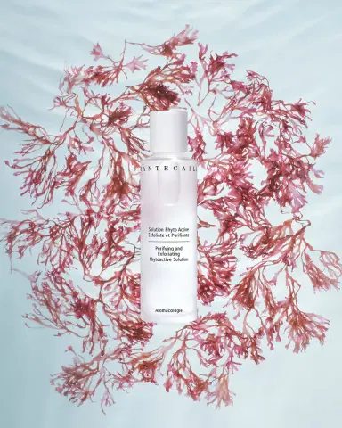 CHANTECAILLE Purifying and Exfoliating Phytoactive Solution, 3.5 oz. | Thumbnail 6 CHANTECAILLE Purifying and Exfoliating Phytoactive Solution, 3.5 oz. | Thumbnail 6