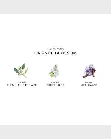 Jo Malone London 5.5 oz. Orange Blossom Diffuser | Thumbnail 3 Jo Malone London 5.5 oz. Orange Blossom Diffuser | Thumbnail 3