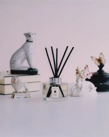 Jo Malone London 5.5 oz. Orange Blossom Diffuser | Thumbnail 4 Jo Malone London 5.5 oz. Orange Blossom Diffuser | Thumbnail 4