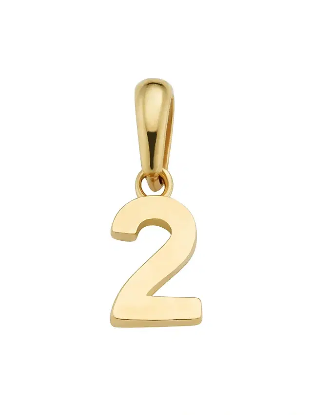 Women's 14K Yellow Gold My Number Pendant Charm - Number 2 Gold Women's 14K Yellow Gold My Number Pendant Charm - Number 2 Gold
