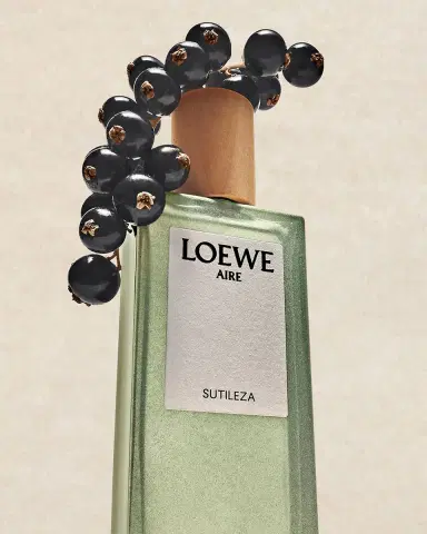 LOEWE Aire Sutileza Eau de Toilette | Thumbnail 4 LOEWE Aire Sutileza Eau de Toilette | Thumbnail 4
