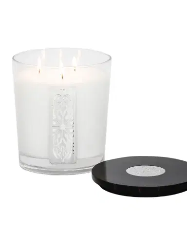 Thompson Ferrier 50 oz Involutus Glass Scented Candle | Thumbnail 1 Thompson Ferrier 50 oz Involutus Glass Scented Candle | Thumbnail 1