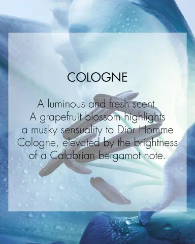 Dior Homme Cologne | Thumbnail 2 Dior Homme Cologne | Thumbnail 2