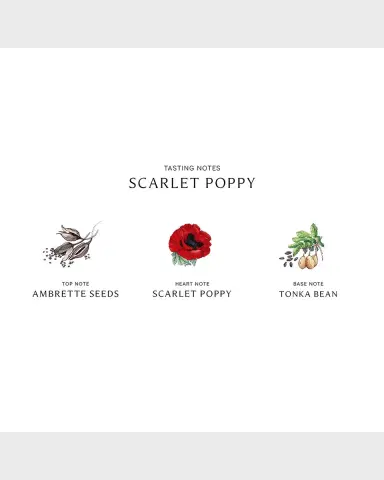 Jo Malone London Scarlet Poppy Cologne Intense | Thumbnail 3 Jo Malone London Scarlet Poppy Cologne Intense | Thumbnail 3