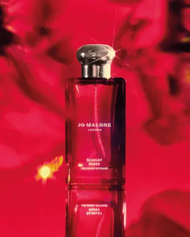 Jo Malone London Scarlet Poppy Cologne Intense | Thumbnail 4 Jo Malone London Scarlet Poppy Cologne Intense | Thumbnail 4
