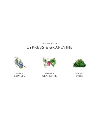 Jo Malone London Cypress and Grapevine Cologne Intense | Thumbnail 3 Jo Malone London Cypress and Grapevine Cologne Intense | Thumbnail 3