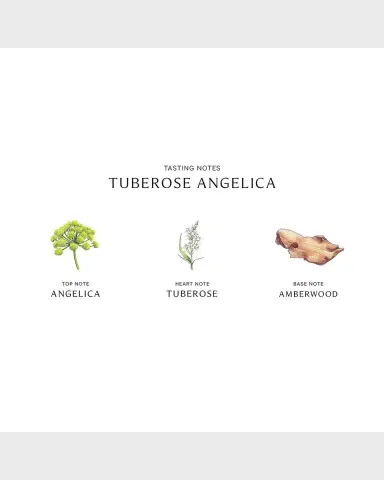 Jo Malone London Tuberose Angelica Cologne Intense, 1.7 oz. | Thumbnail 3 Jo Malone London Tuberose Angelica Cologne Intense, 1.7 oz. | Thumbnail 3