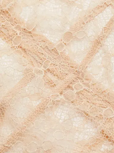 Kiki de Montparnasse Women's Mon Cheri Sheer Lace Bodysuit - Blush | Thumbnail 6 Kiki de Montparnasse Women's Mon Cheri Sheer Lace Bodysuit - Blush | Thumbnail 6