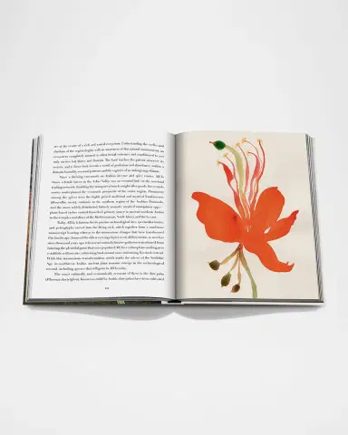 ASSOULINE "AlUla Flora: A Botanical Treasure" Book by Abdulaziz Assaeed | Thumbnail 3 ASSOULINE "AlUla Flora: A Botanical Treasure" Book by Abdulaziz Assaeed | Thumbnail 3