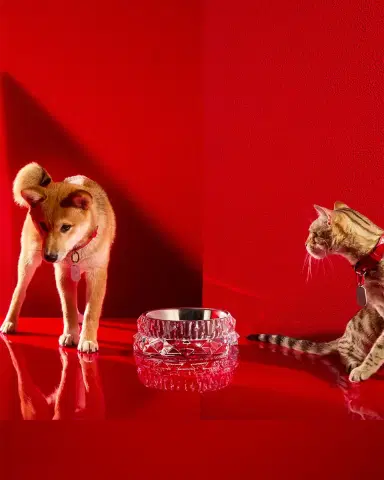 Baccarat Louxor Crystal Pet Bowl, Large | Thumbnail 3 Baccarat Louxor Crystal Pet Bowl, Large | Thumbnail 3