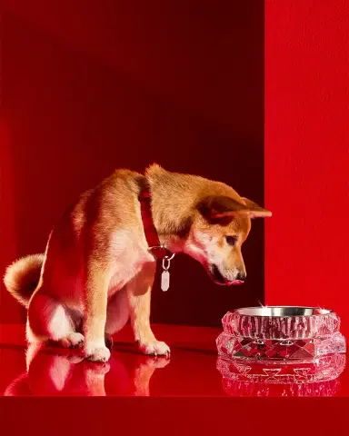 Baccarat Louxor Crystal Pet Bowl, Large | Thumbnail 5 Baccarat Louxor Crystal Pet Bowl, Large | Thumbnail 5