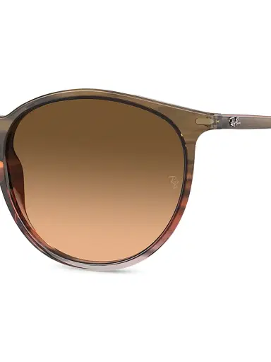 Ray-Ban Women's RB2204 51MM Pantos Sunglasses - Brown | Thumbnail 3 Ray-Ban Women's RB2204 51MM Pantos Sunglasses - Brown | Thumbnail 3