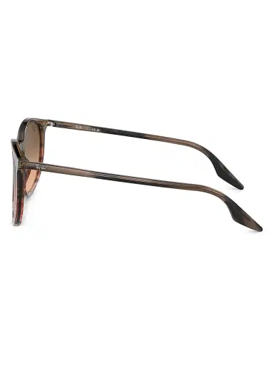 Ray-Ban Women's RB2204 51MM Pantos Sunglasses - Brown | Thumbnail 4 Ray-Ban Women's RB2204 51MM Pantos Sunglasses - Brown | Thumbnail 4