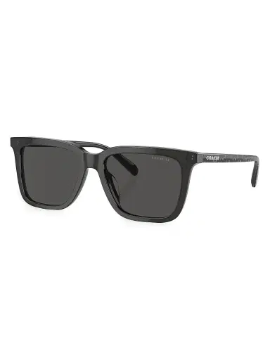 Coach Men's 0HC8385U 54MM Butterfly Sunglasses - Light Grey | Thumbnail 2 Coach Men's 0HC8385U 54MM Butterfly Sunglasses - Light Grey | Thumbnail 2