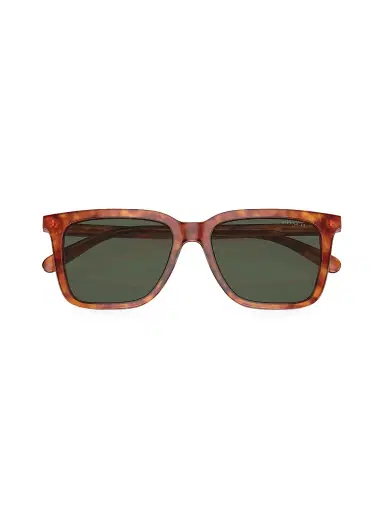 Coach Men's 0HC8385U 54MM Butterfly Sunglasses - Brown Tortoise | Thumbnail 6 Coach Men's 0HC8385U 54MM Butterfly Sunglasses - Brown Tortoise | Thumbnail 6