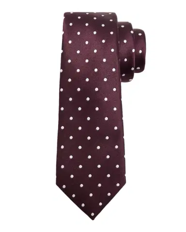 Tom Ford Men's Polka Dot Mulberry Silk Tie | Thumbnail 1 Tom Ford Men's Polka Dot Mulberry Silk Tie | Thumbnail 1