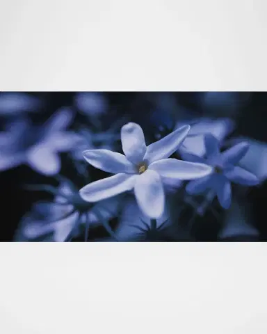 Ex Nihilo Blue Talisman Extrait de Parfum, 3.4 oz. | Thumbnail 2 Ex Nihilo Blue Talisman Extrait de Parfum, 3.4 oz. | Thumbnail 2