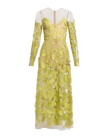 Elie Saab Embroidered Tulle Long-Sleeve Illusion Midi Dress | Thumbnail 1 Elie Saab Embroidered Tulle Long-Sleeve Illusion Midi Dress | Thumbnail 1