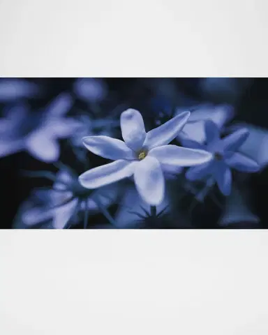 Ex Nihilo Blue Talisman Extrait de Parfum, 1.7 oz. | Thumbnail 2 Ex Nihilo Blue Talisman Extrait de Parfum, 1.7 oz. | Thumbnail 2